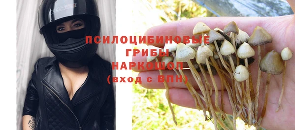 мдпв Заводоуковск