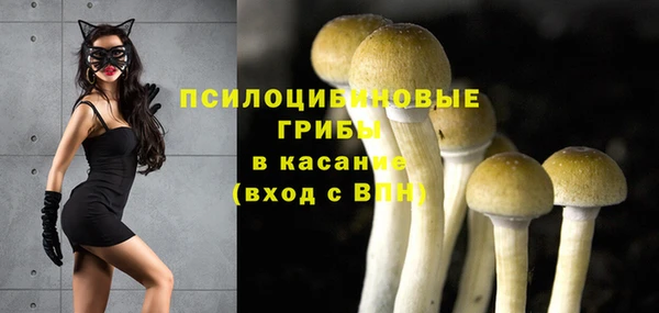прущие крисы Заволжск