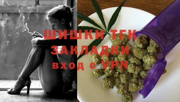 мдпв Заводоуковск
