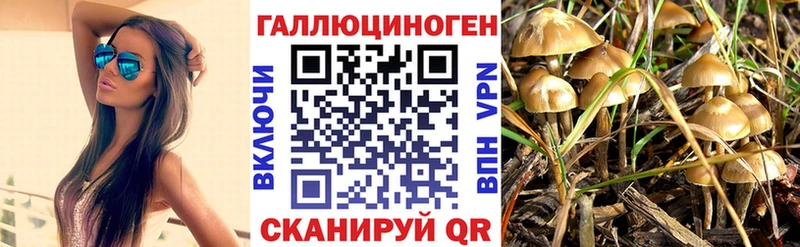 Галлюциногенные грибы Magic Shrooms  Камень-на-Оби 