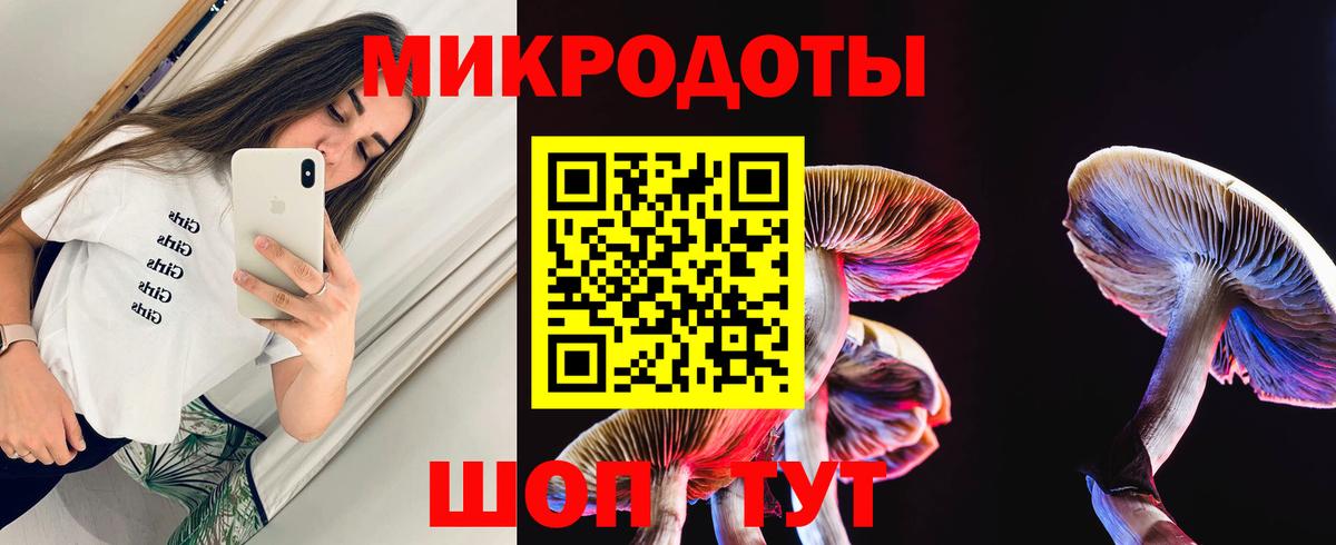 Псилоцибиновые грибы мицелий  Псилоцибиновые грибы Psilocybe  Камень-на-Оби  Вход с VPN 